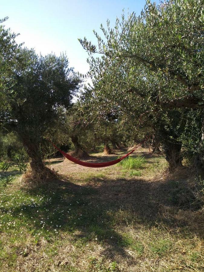 Villa Daphne, Messinia Near Koroni Kómboi Zewnętrze zdjęcie